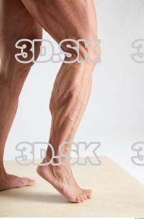 Leg reference of Dale 0012